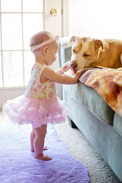 steps to introduce your baby to a pet in safe way